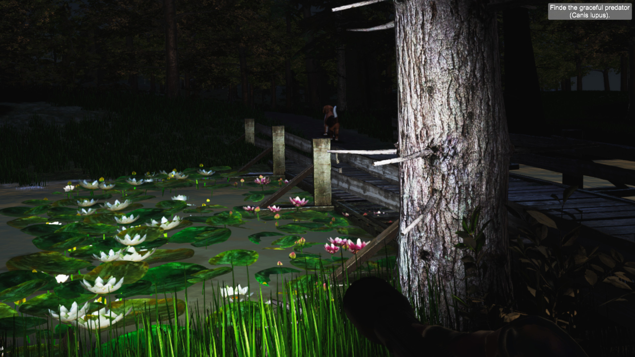 Zoo World VR screenshot 6